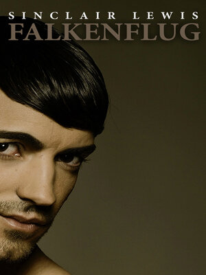 cover image of Falkenflug